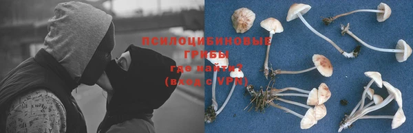 прущие крисы Лагань