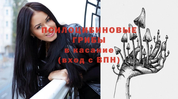 метадон Ладушкин