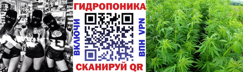 Шишки марихуана марихуана Медвежьегорск
